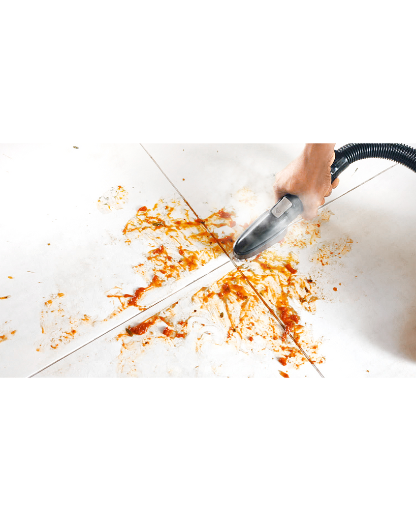 Dolphin MinjaPortable Water Steam Efficient Cleaning Machine