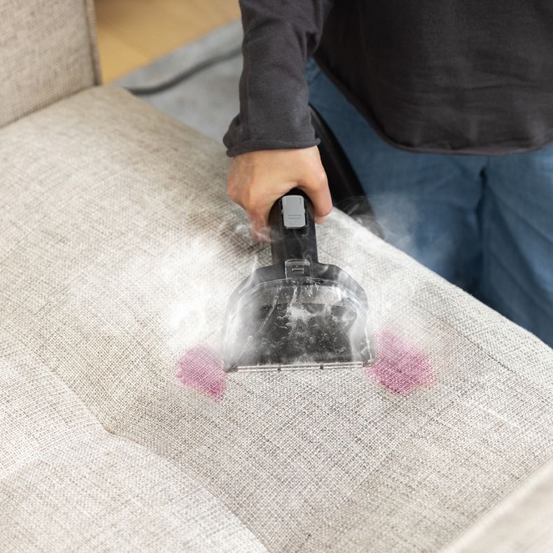 Dolphin MinjaPortable Water Steam Efficient Cleaning Machine